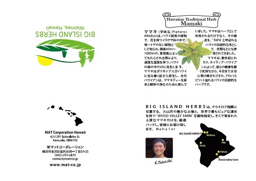 画像の説明文
